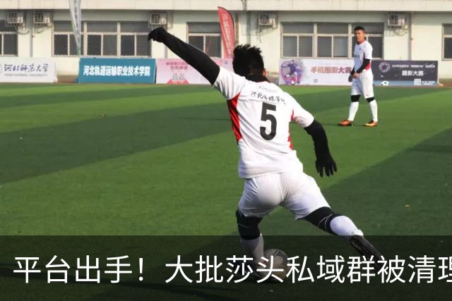 平台出手！大批莎头私域群被清理，饭圈乱象整治，全网纷纷叫好